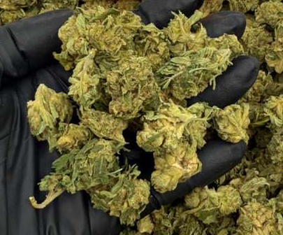 Mystic Gardens Pinnacle Flower