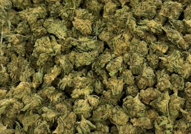 Mystic Gardens Pinnacle Flower