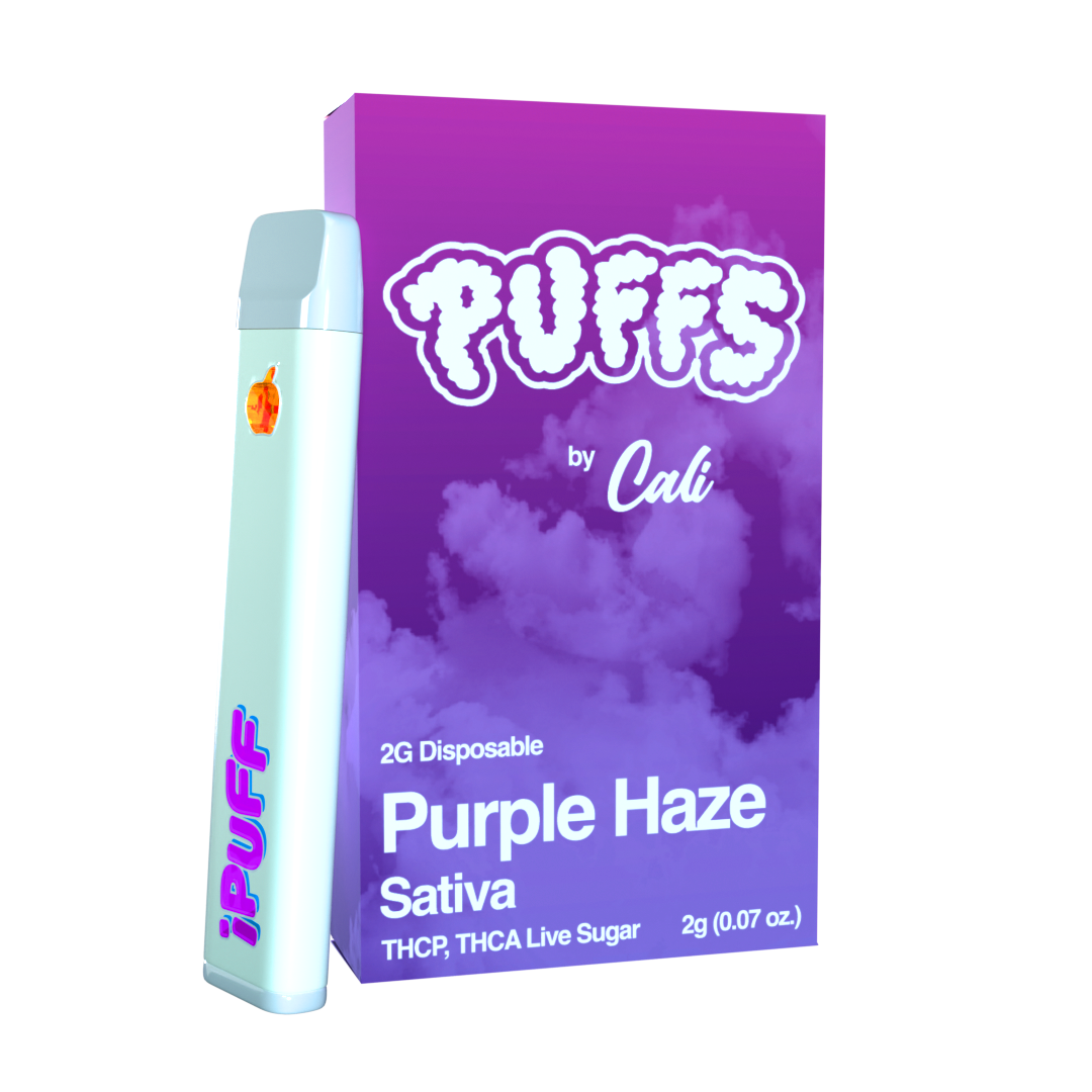 Puffs 2g Disposable - THCA & THCP