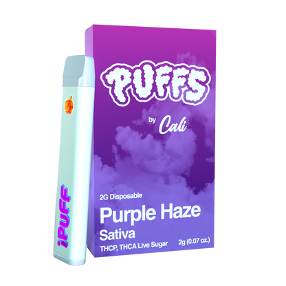 Puffs 2g Disposable - THCA & THCP
