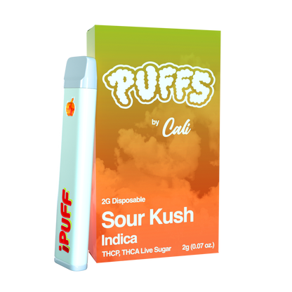 Puffs 2g Disposable - THCA & THCP