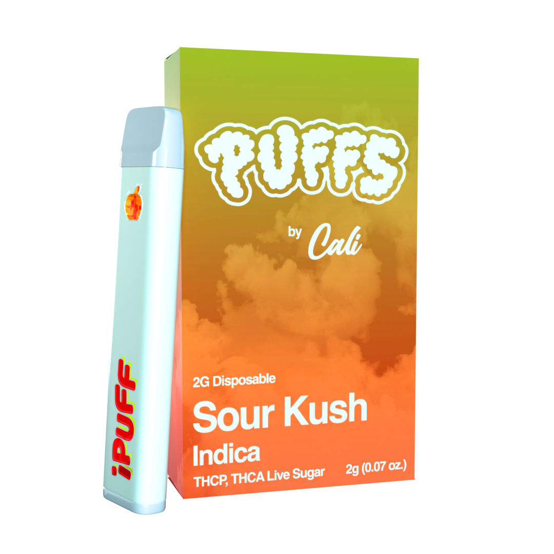 Puffs 2g Disposable - THCA & THCP